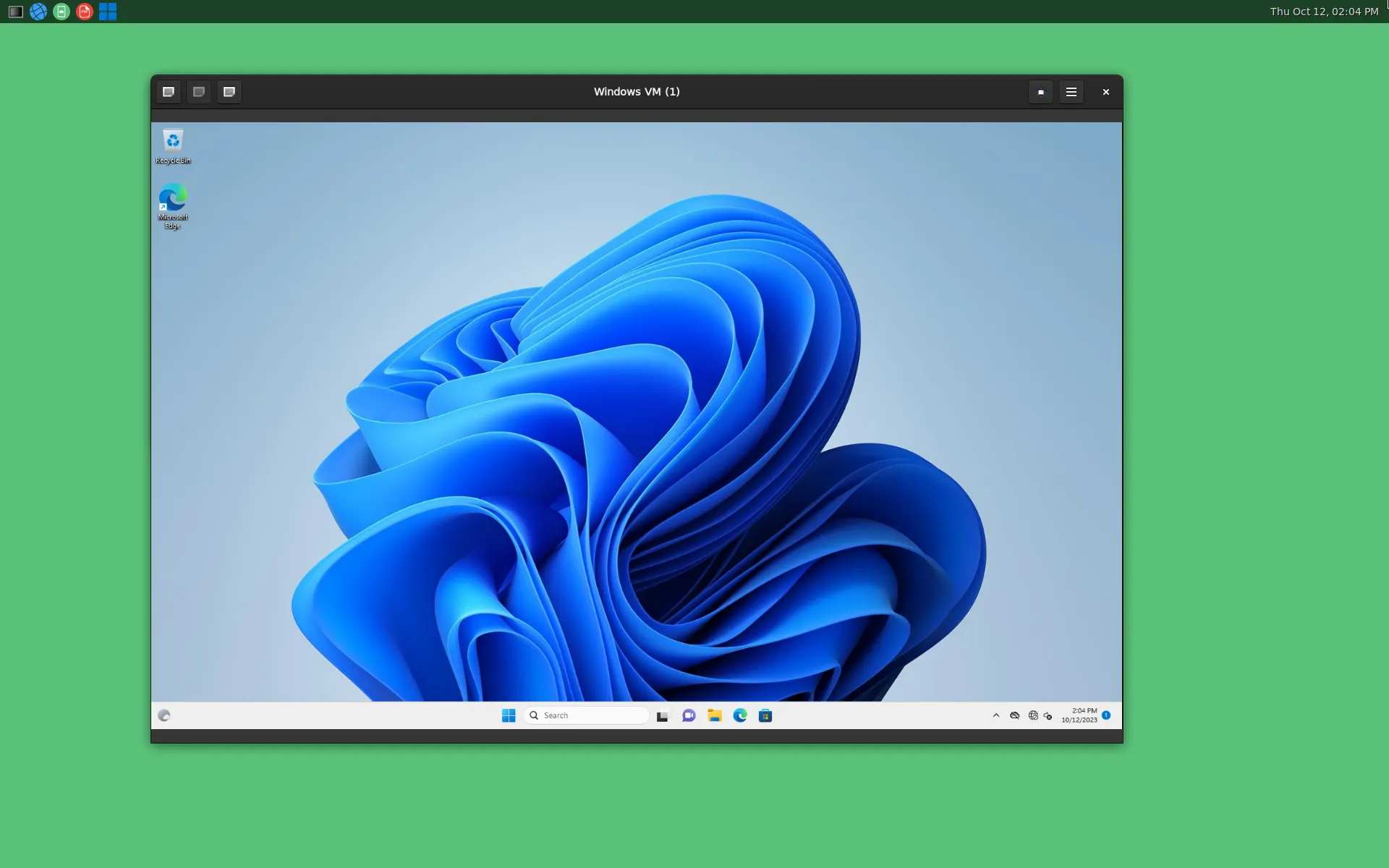 Windows 11 in VM